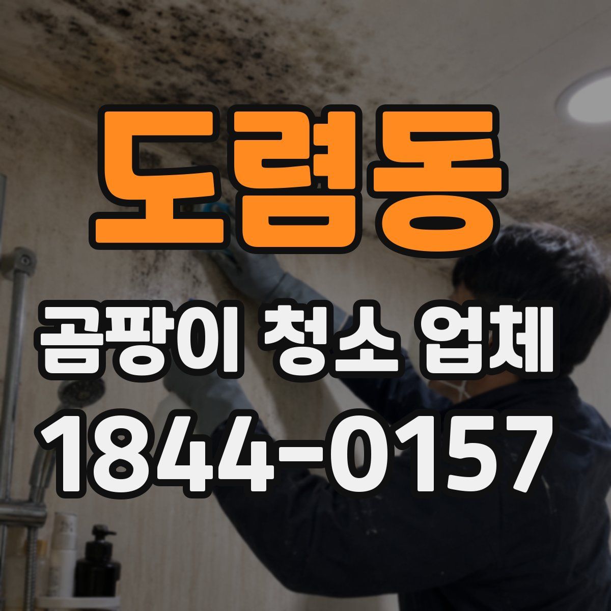 도렴동 곰팡이 청소 업체