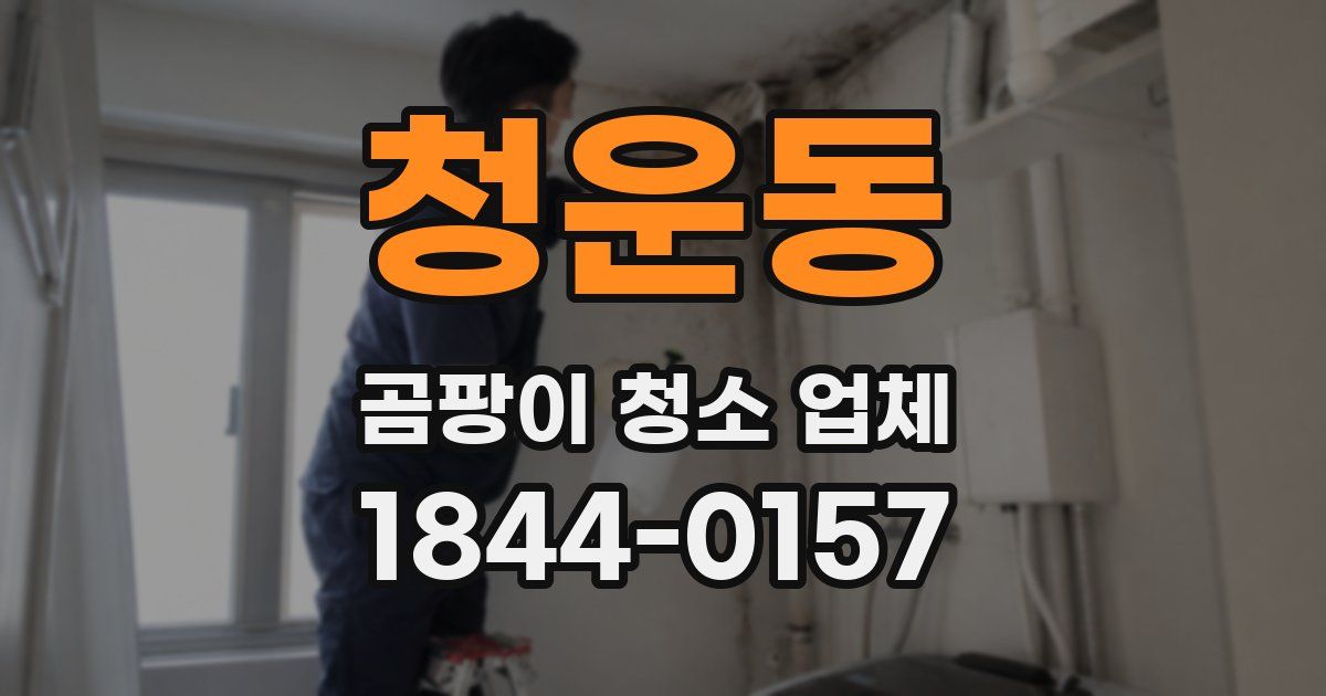 청운동 곰팡이 청소 업체