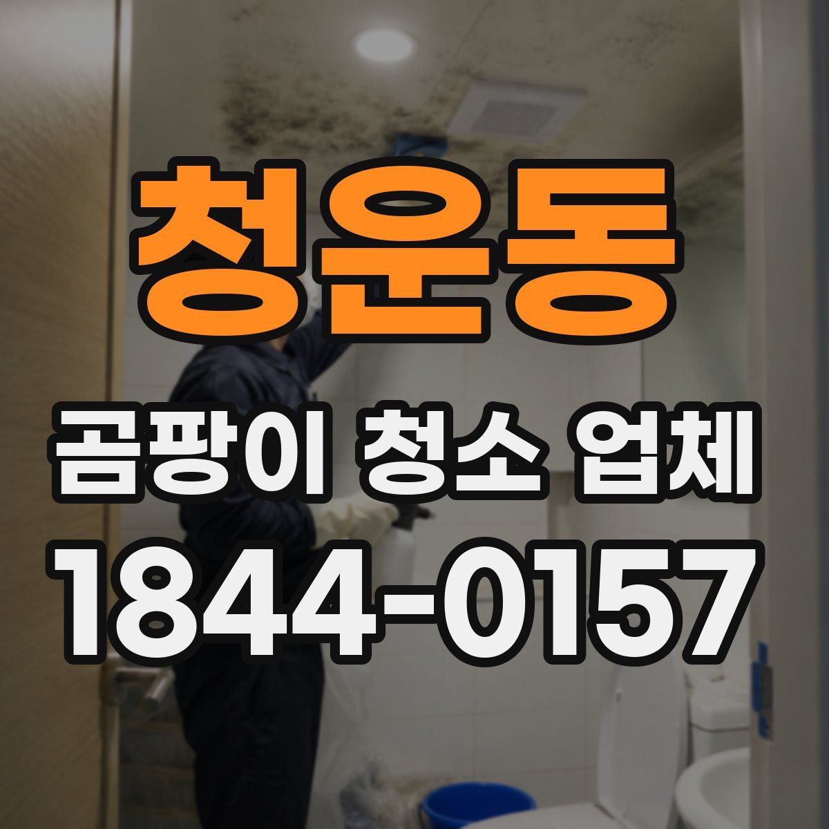 청운동 곰팡이 청소 업체