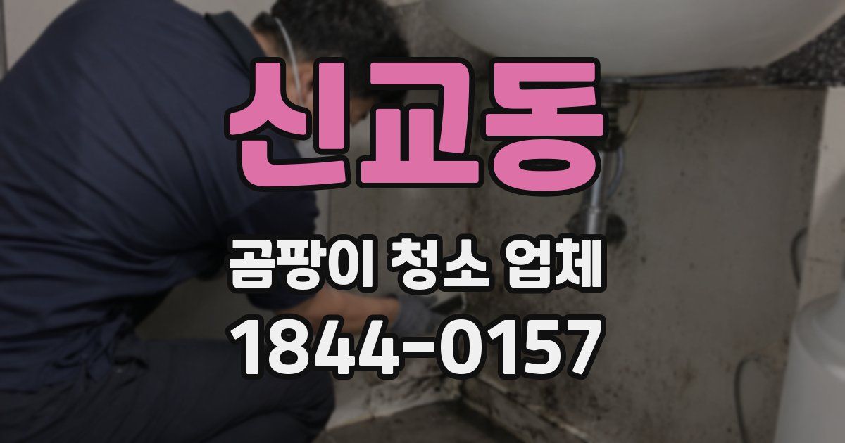 신교동 곰팡이 청소 업체