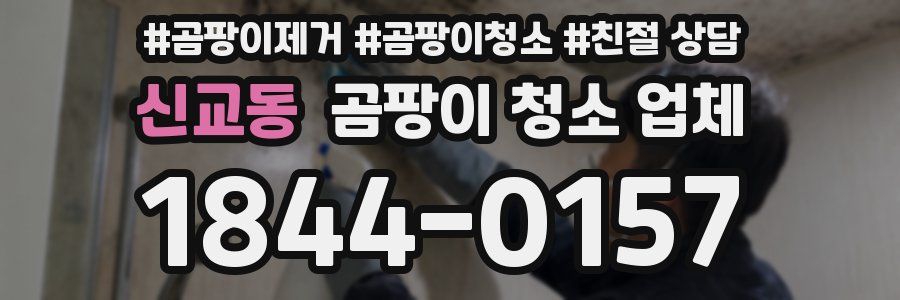 신교동 곰팡이 청소 업체
