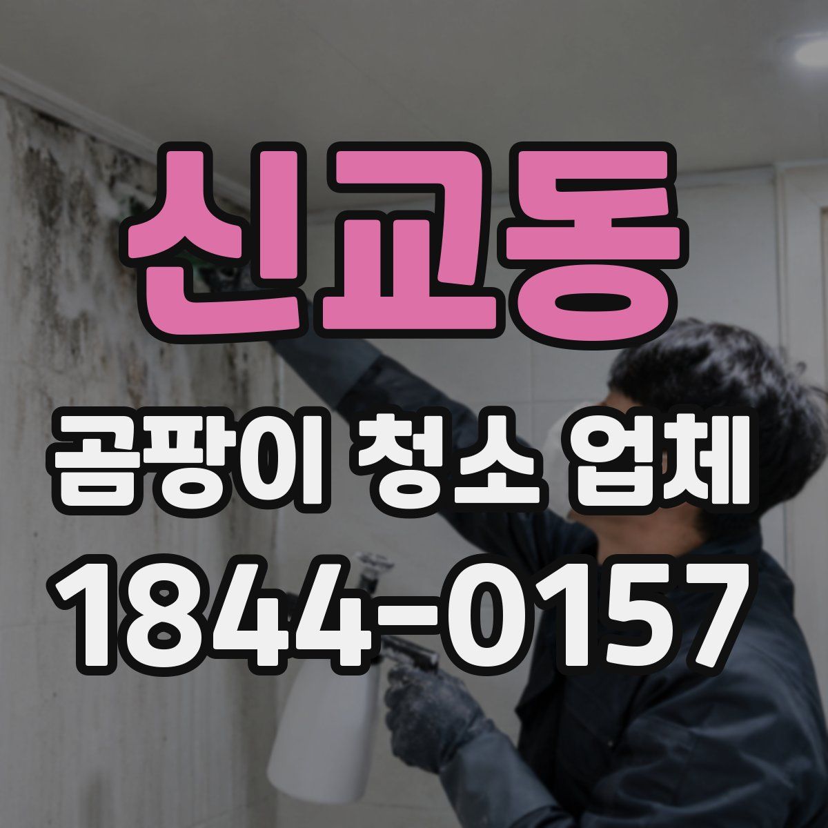 신교동 곰팡이 청소 업체