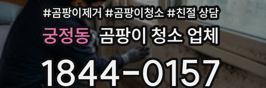 궁정동 곰팡이 청소 업체
