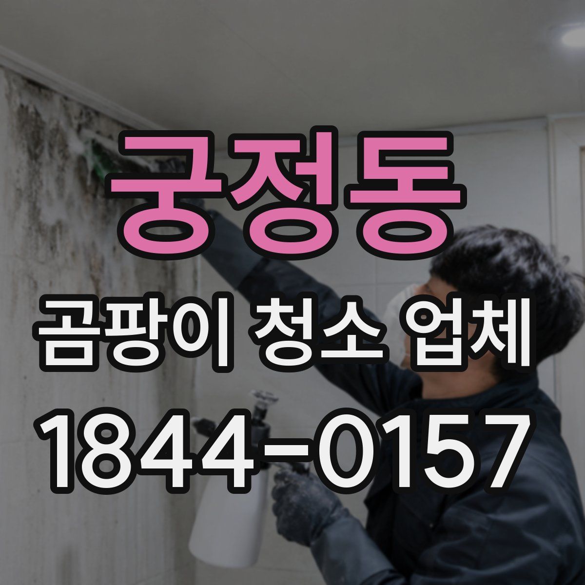 궁정동 곰팡이 청소 업체