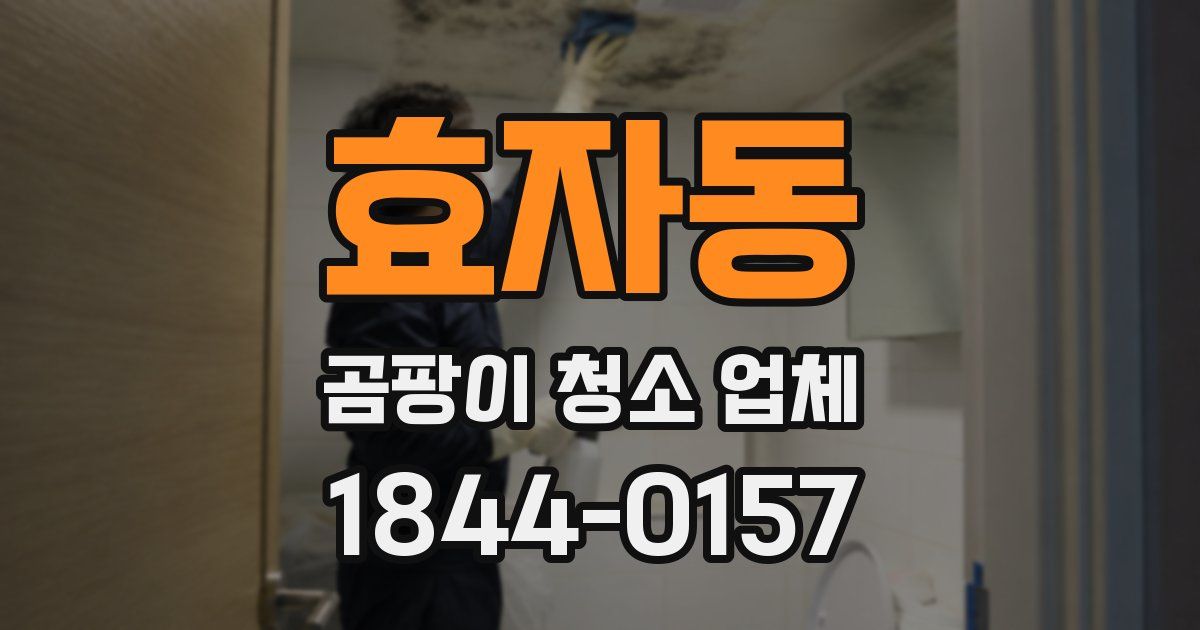 효자동 곰팡이 청소 업체