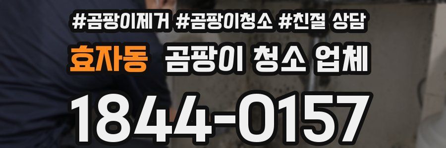 효자동 곰팡이 청소 업체