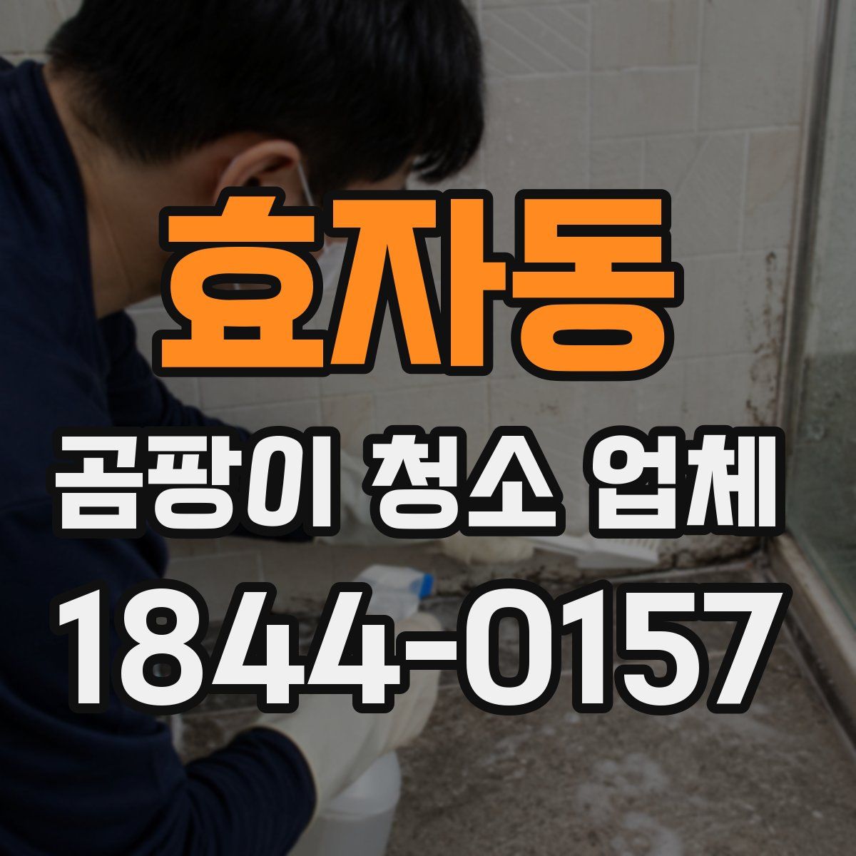 효자동 곰팡이 청소 업체