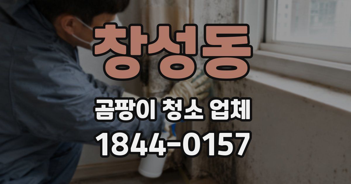 창성동 곰팡이 청소 업체