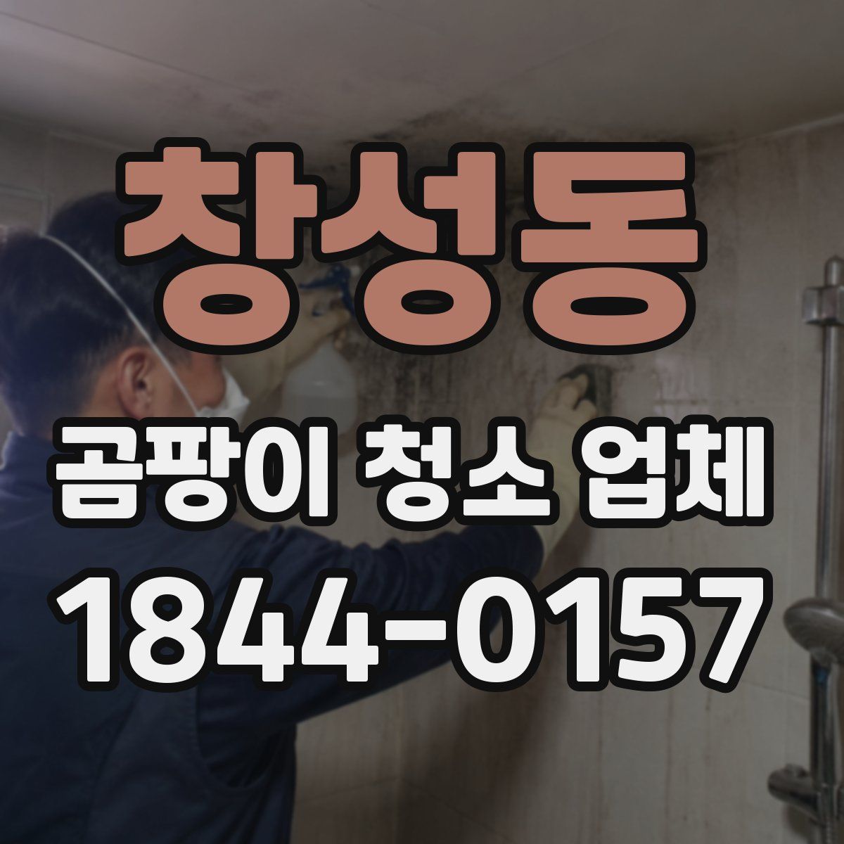 창성동 곰팡이 청소 업체