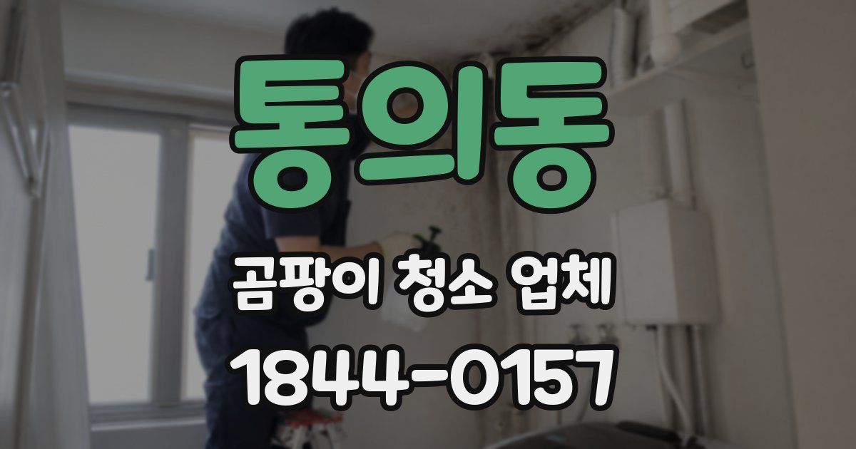 통의동 곰팡이 청소 업체