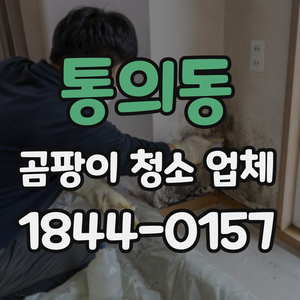 통의동 곰팡이 청소 업체