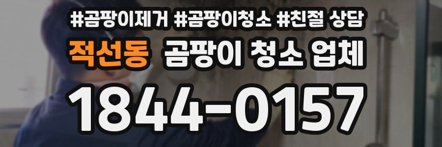 적선동 곰팡이 청소 업체