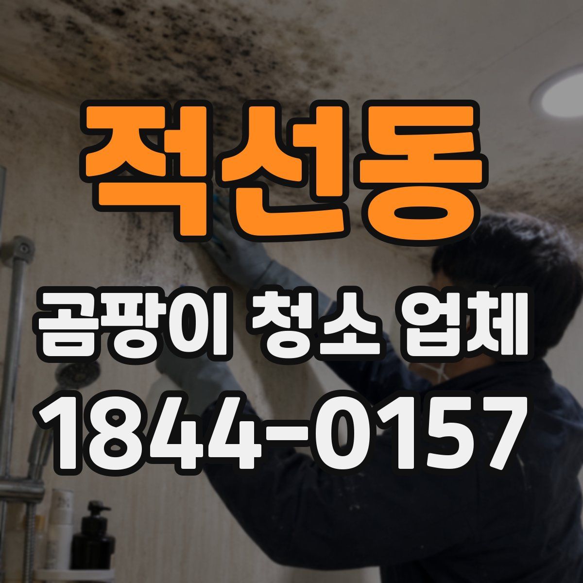 적선동 곰팡이 청소 업체