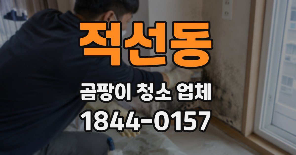 적선동 곰팡이 청소 업체