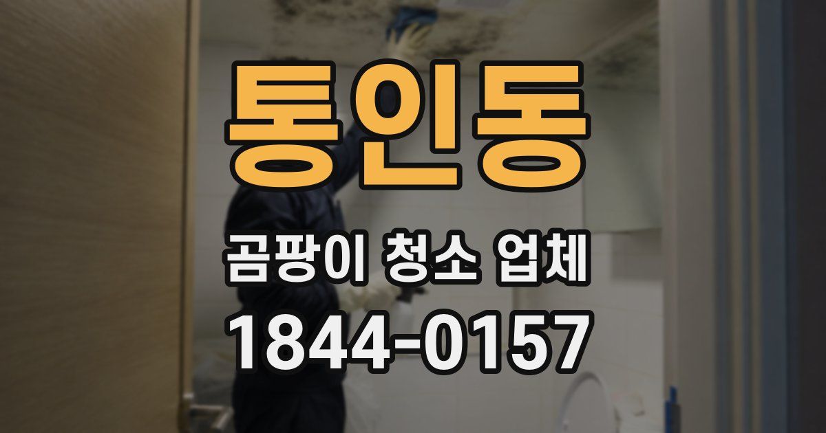 통인동 곰팡이 청소 업체