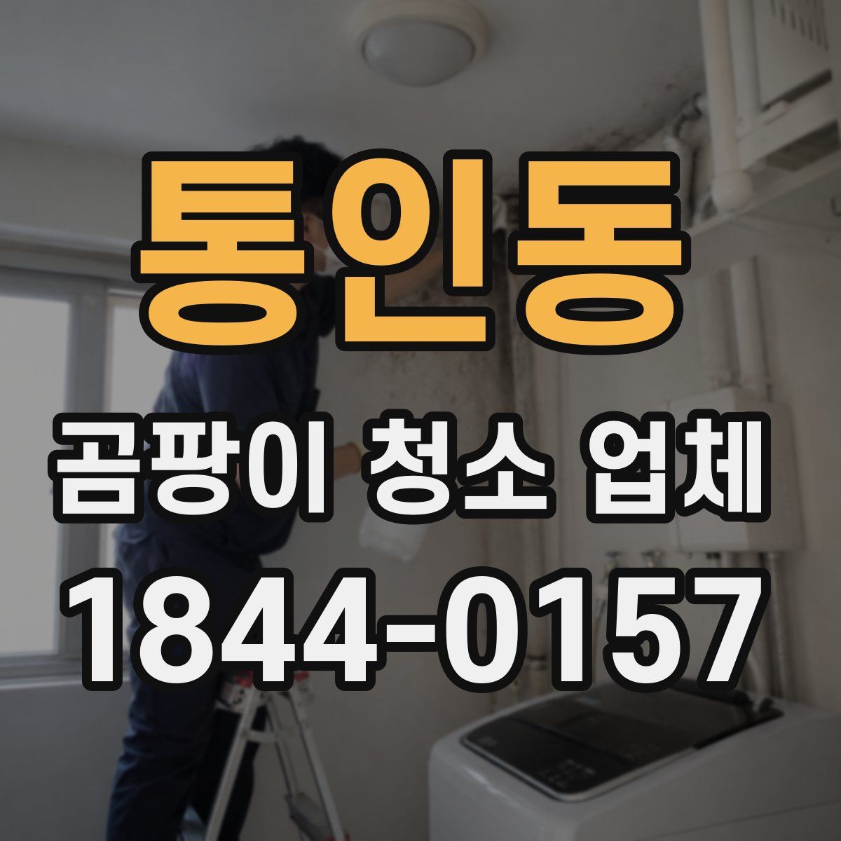 통인동 곰팡이 청소 업체