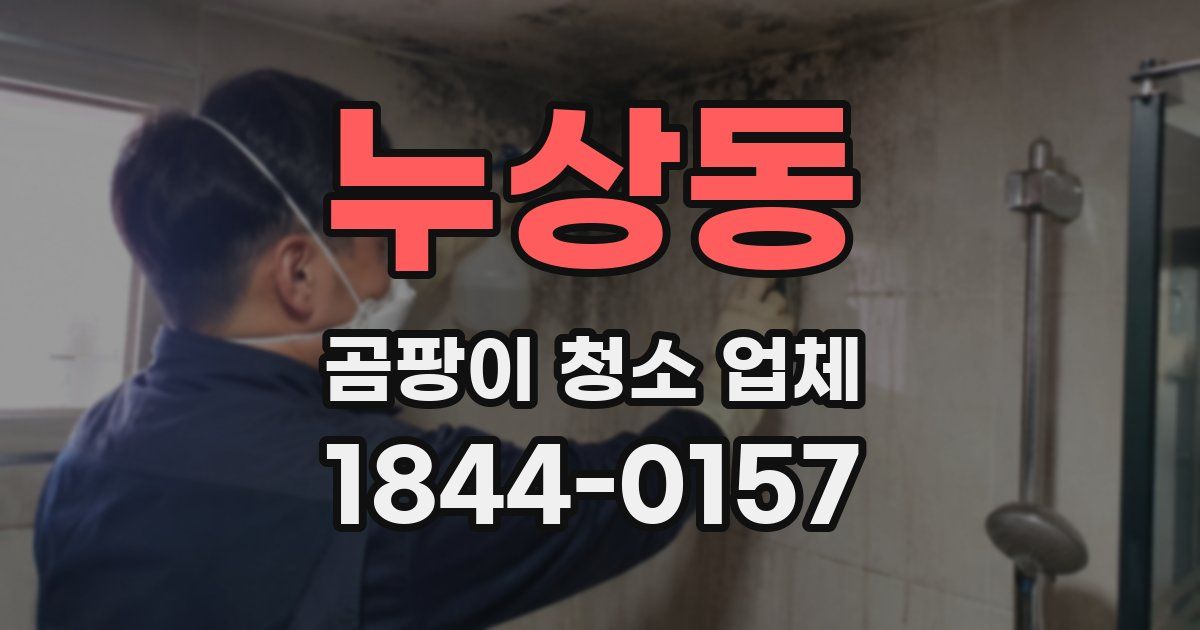 누상동 곰팡이 청소 업체