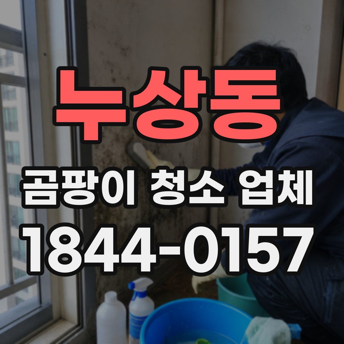 누상동 곰팡이 청소 업체
