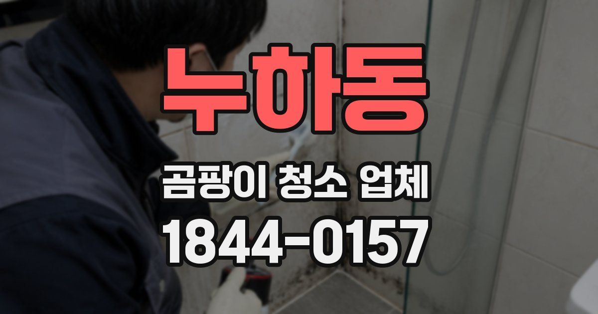 누하동 곰팡이 청소 업체