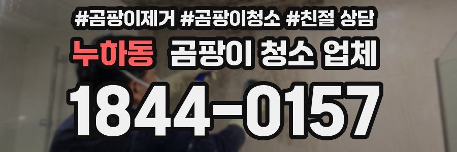 누하동 곰팡이 청소 업체