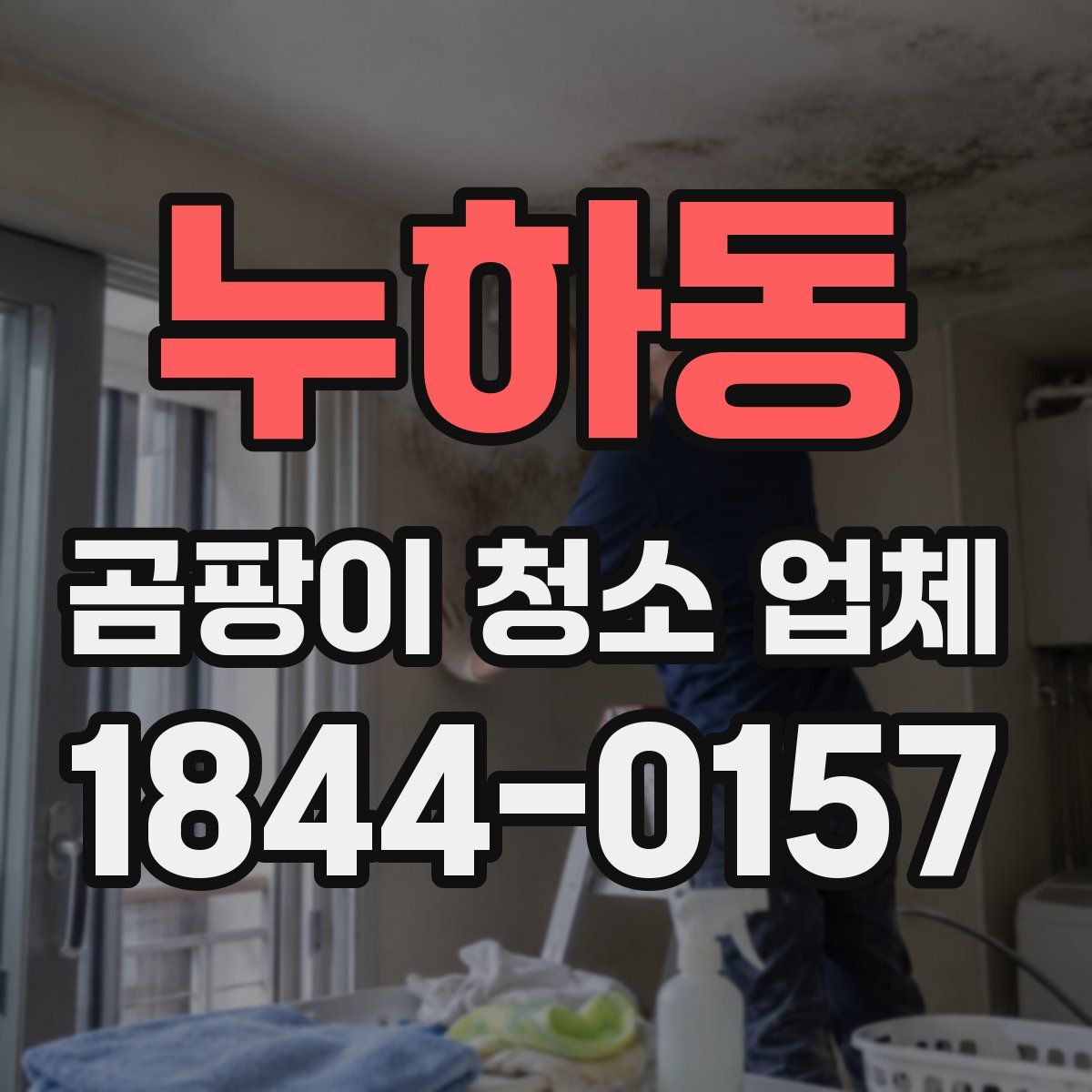 누하동 곰팡이 청소 업체