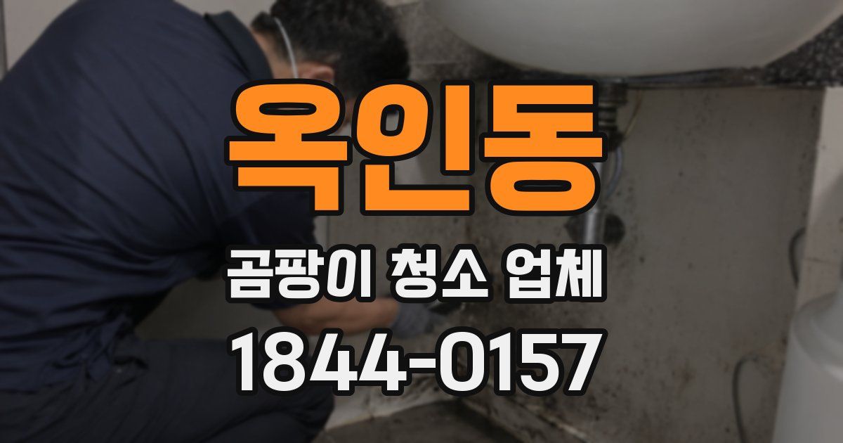 옥인동 곰팡이 청소 업체