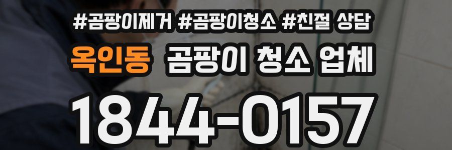 옥인동 곰팡이 청소 업체