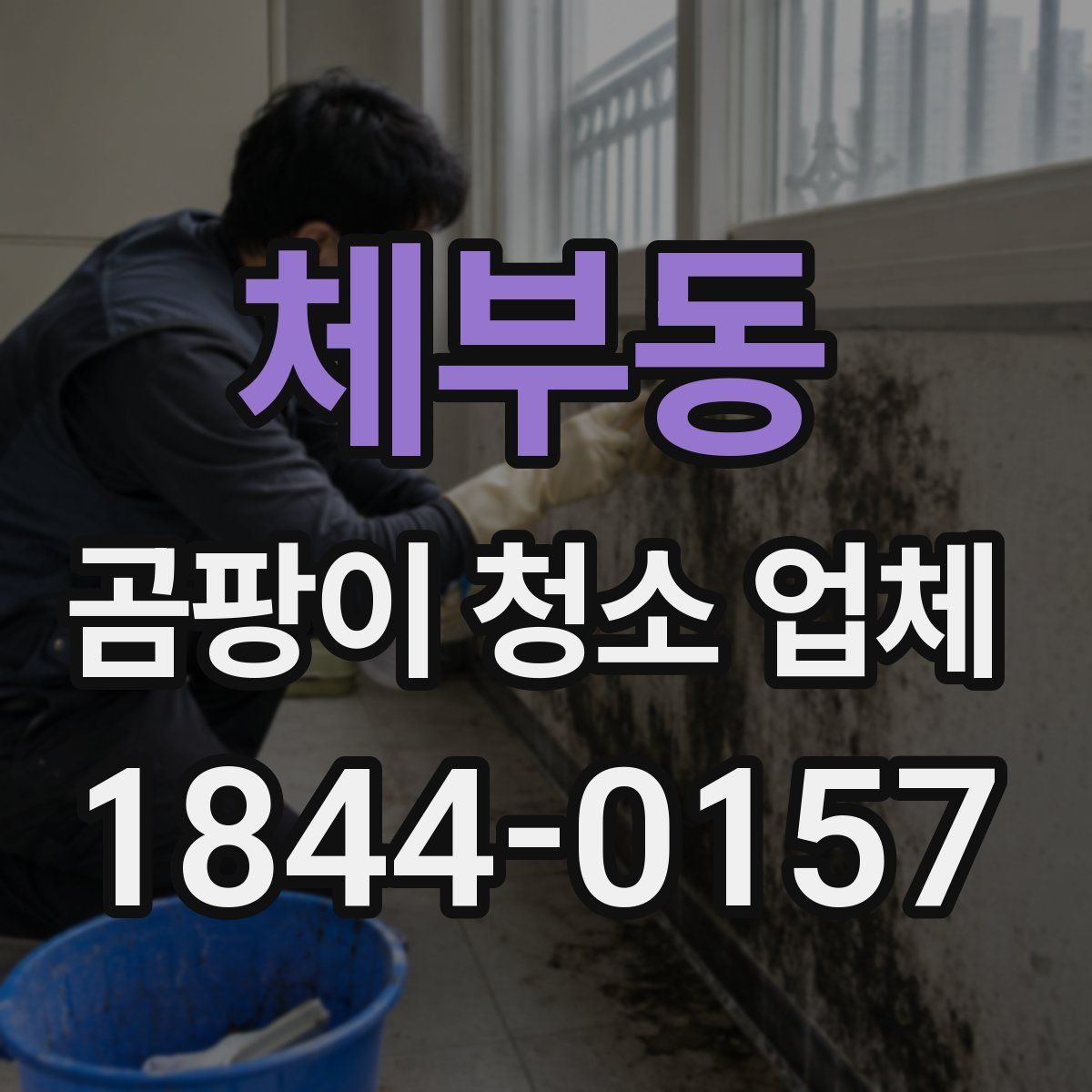 체부동 곰팡이 청소 업체