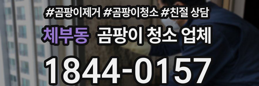 체부동 곰팡이 청소 업체