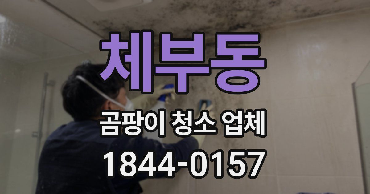 체부동 곰팡이 청소 업체