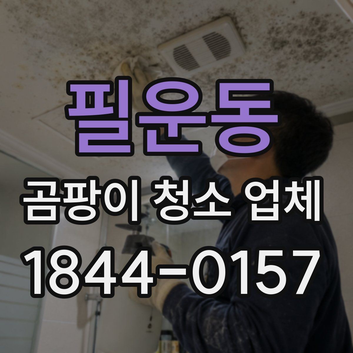 필운동 곰팡이 청소 업체 후기에서 신뢰할 부분만 고르기