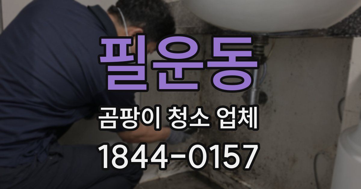 필운동 곰팡이 청소 업체