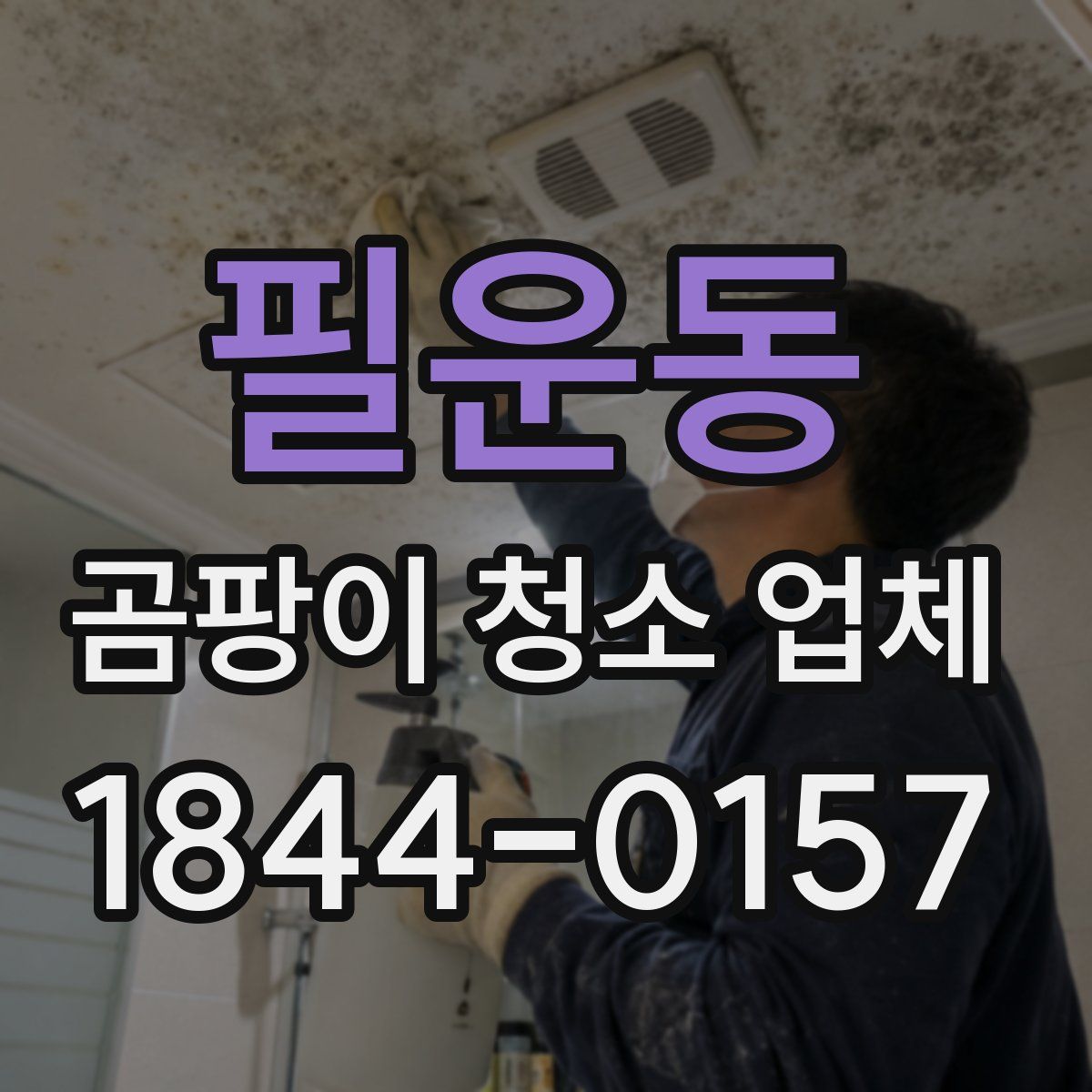 필운동 곰팡이 청소 업체