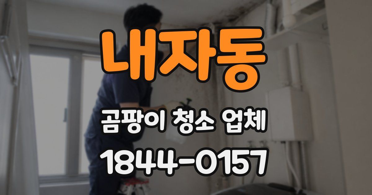 내자동 곰팡이 청소 업체