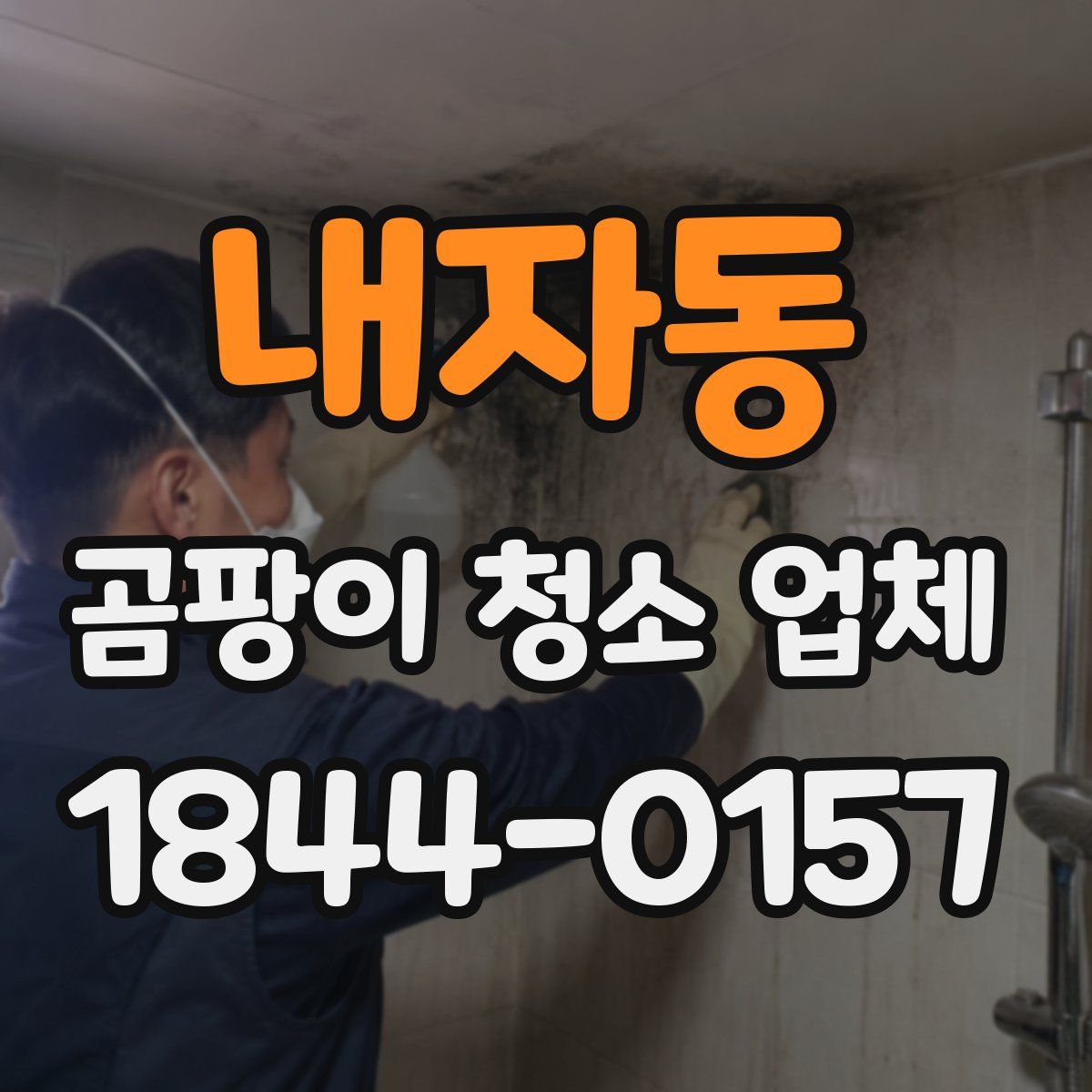 내자동 곰팡이 청소 업체