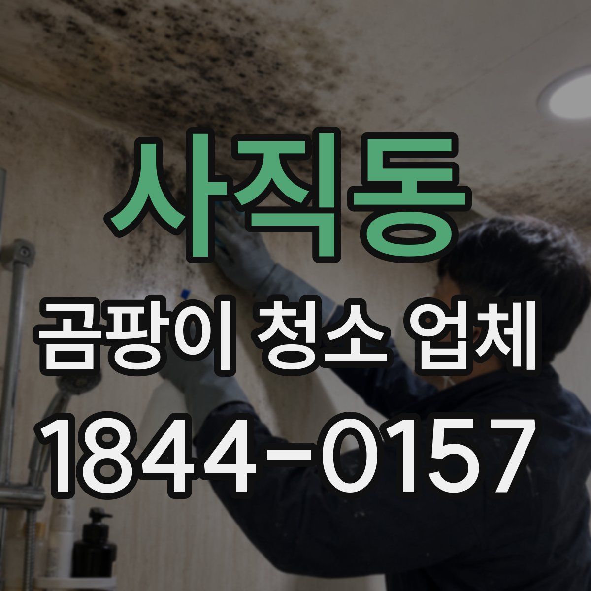 사직동 곰팡이 청소 업체