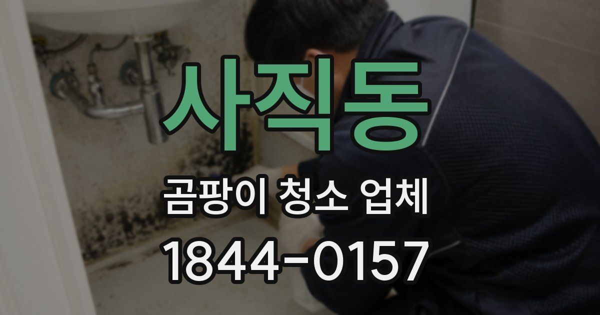 사직동 곰팡이 청소 업체