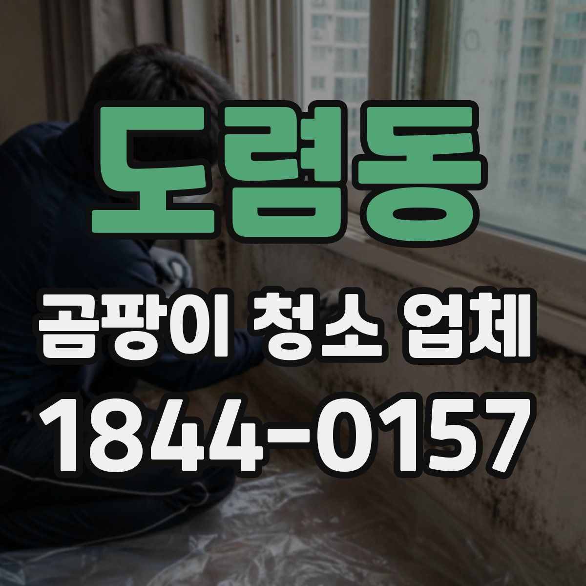 도렴동 곰팡이 청소 업체