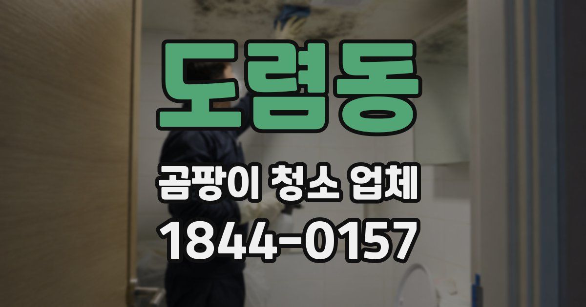 도렴동 곰팡이 청소 업체