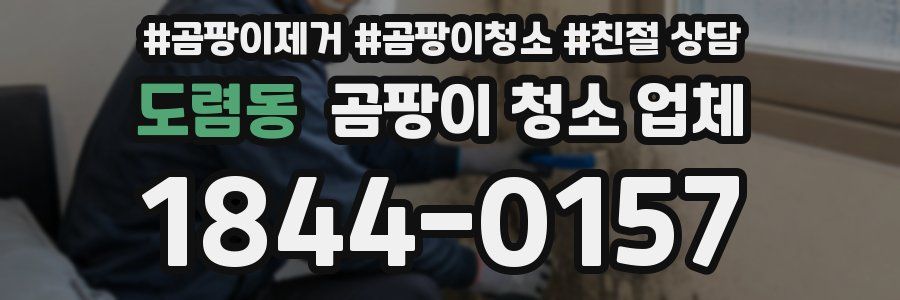 도렴동 곰팡이 청소 업체