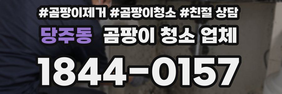 당주동 곰팡이 청소 업체