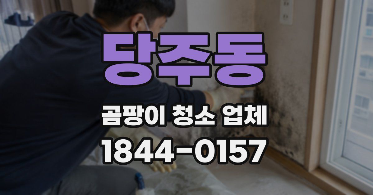 당주동 곰팡이 청소 업체