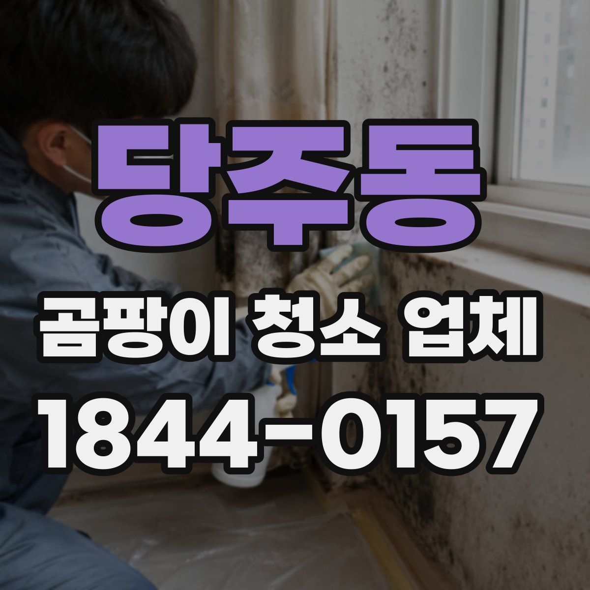 당주동 곰팡이 청소 업체