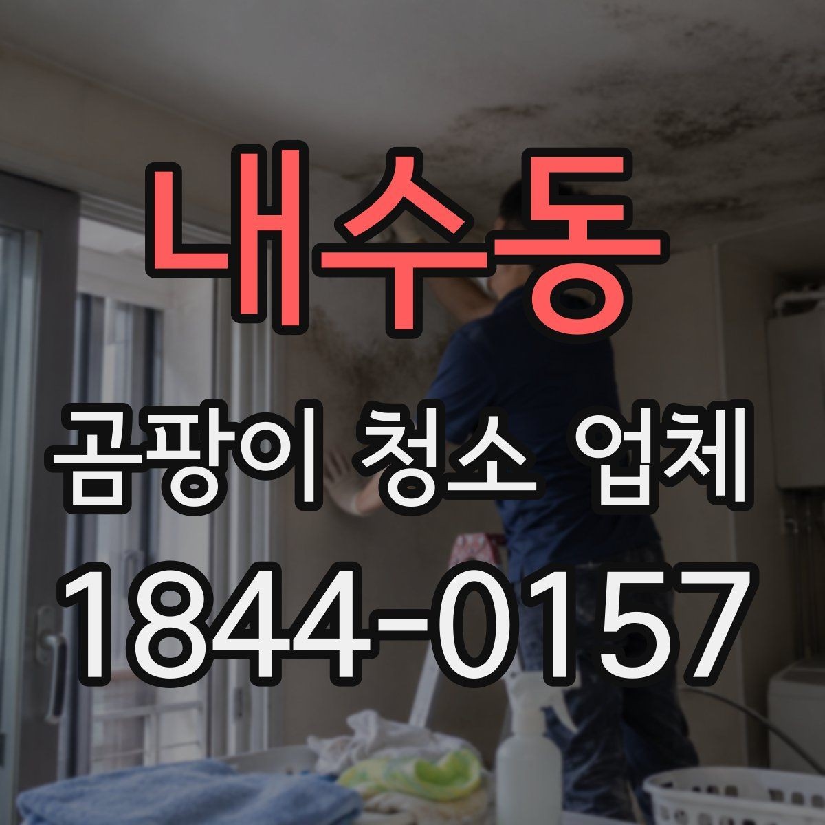 내수동 곰팡이 청소 업체 선정에 도움이 되는 체크리스트