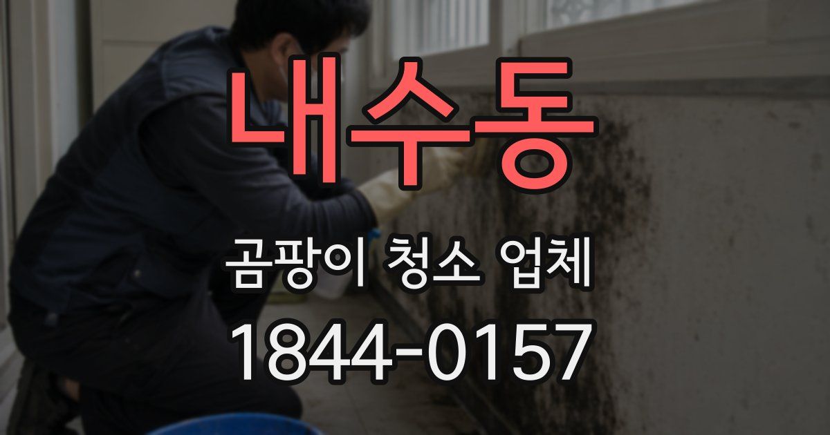 내수동 곰팡이 청소 업체