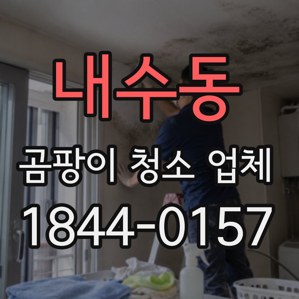 내수동 곰팡이 청소 업체