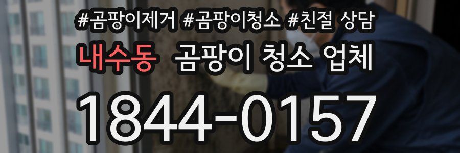 내수동 곰팡이 청소 업체