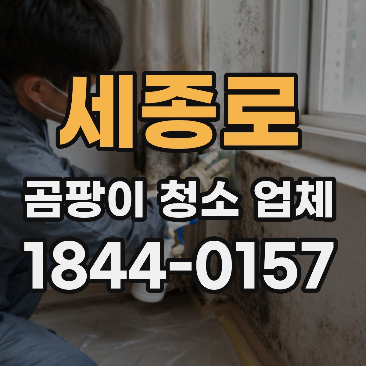 세종로 곰팡이 청소 업체