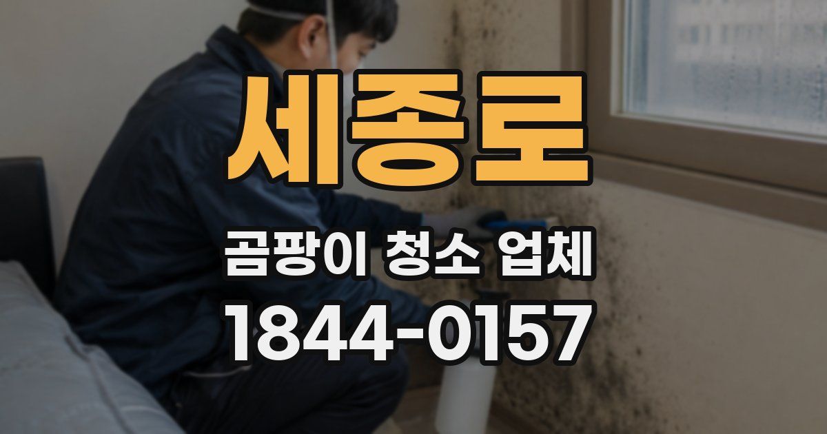 세종로 곰팡이 청소 업체