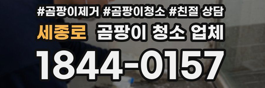 세종로 곰팡이 청소 업체
